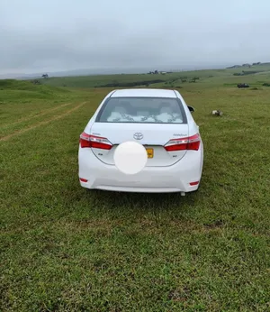toyta Corolla 2014
