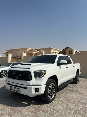 تنادرا بحالة جيدة جدا Tundra in very good condition