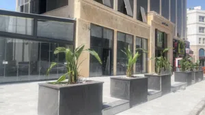 محل بابين مع ترس موقع مميز جداً مساحة المحل 200 متر تقريباً للإيجار
