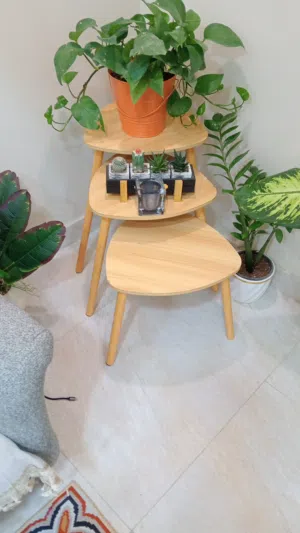 مجموع غراض لبيع