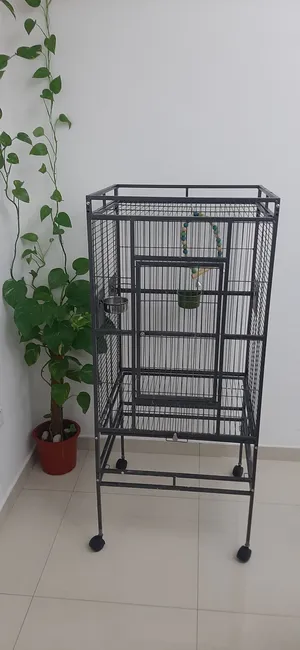 قفص لببغاء الكاسكو