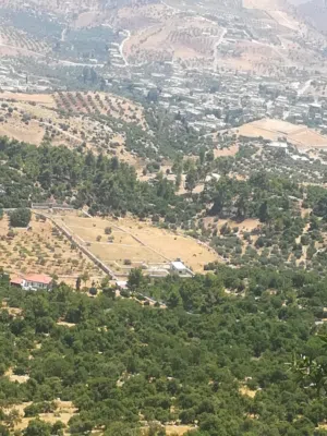قطعة أرض مميزة على أطراف غابات دبين