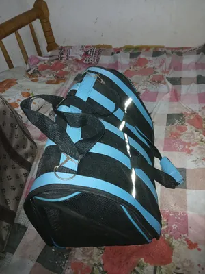 مستلزمات قطط