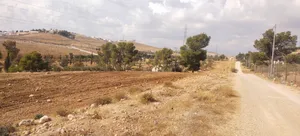 طريق بلعما الزرقاء أرض 3400 متر شارعين 30 +14