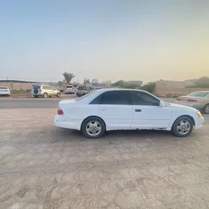 افلون 2003