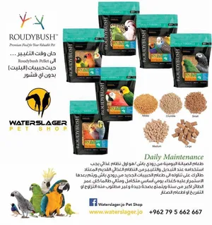 النظام الغذائي المثالي والصحي والمتوازن لجميع انواع طيور الزينة والمكون من حبيبات (البليت)