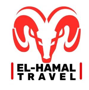 محمد رفاعي 