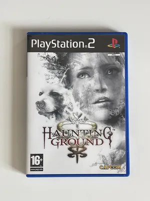 Haunted ground PS2 CIB
