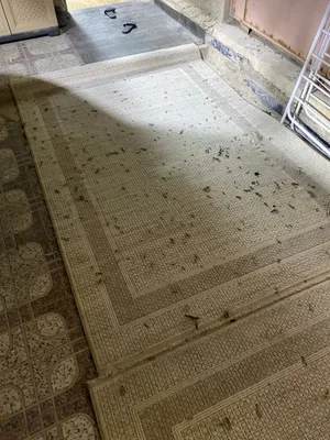 فرشات مال كويت