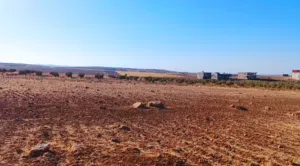 ارض استثمارية مميزة/ مزرعة تميرة للبيع بسعر مناسب جدا من المالك مباشرة/تقسيط جزء من الثمن