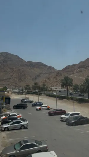 معارض الإيجار