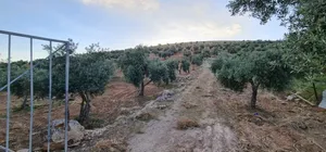 مزرعه للبيع