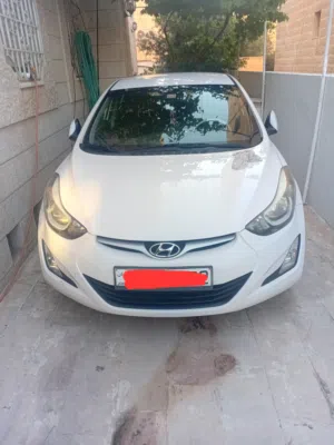 Used Hyundai Elantra in Amman