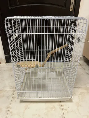 قفص طيور حجم كبير