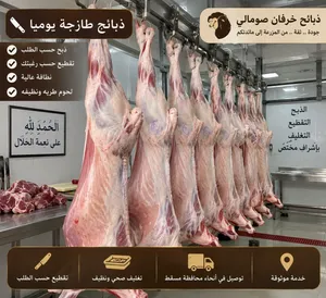 كباش مطعومه