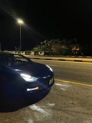Tesla 3 2020