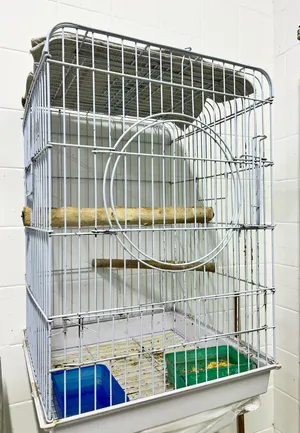 For Sale Good Condition Cage