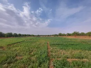 مزرعة 20 فدان منوعة الأشجار وفيها بير جاهزة وغرف مبنية وطاقة شمسية