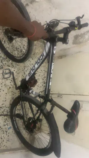 Mountain bike