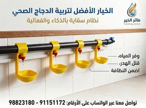 سقاية تنقيط للدواجن