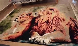 زوليه كاشان ايراني 700 شانه استخدام قليل قياس 230 في 150 السعر 150 الف بي مجال السعر للشراي