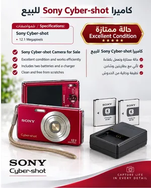 Sony Cyber-shot DSC-W190 12.1MP Digital Camera - Red (Bundle with 2 Batteries & Charger) - Mint