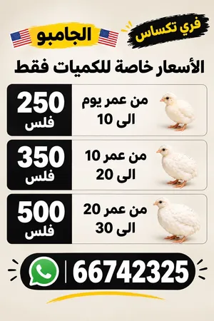 فري تكسس الجانبو