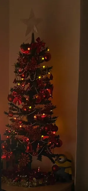 Christmas Tree for Sale
