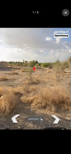 Farm Land for Sale in Al Dhahirah Ibri