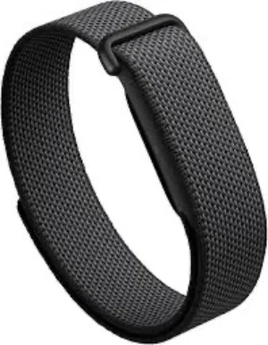 Google fitbit air