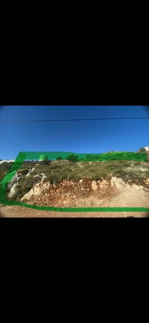 ارض للبيع في نابلس الجديدة