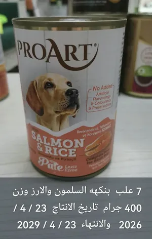 طعام رطب للكلاب