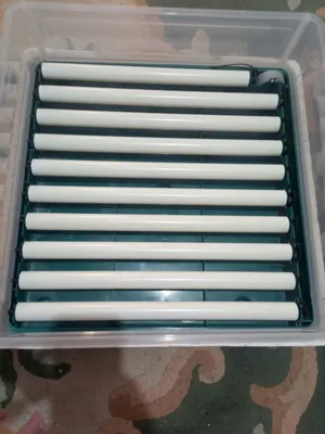 حضانه دجاج