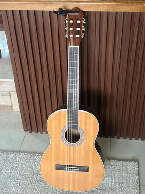جيتار Aiersi