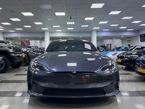 Tesla S plaid