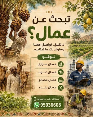 عمال مقاولات بناء ، عمال تنظيف ، عمال مزارع