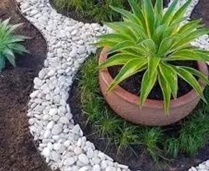 تنسيق وصيانة الحدائق جميع انواع اللاندسكيب نحن نختار معك افضل التصاميم واجود الانواع على قد ميرانينك