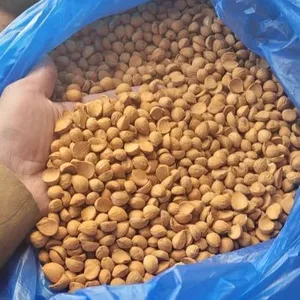 تصدير المكسرات والعسل والبن للخليج واوروبا والعالم باسعار مناسبه