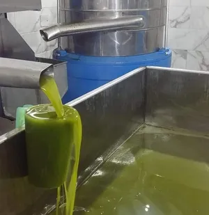 زيت زيتون سوري ممتاز اكسترا فيرجن عصرة أولى
