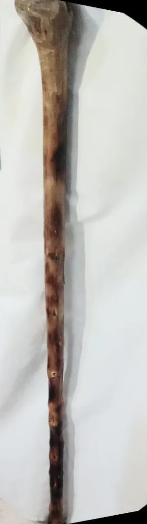 عصى خشبيه نوعية(عتم او مشعاب )
