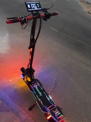 WinnerSky scooter