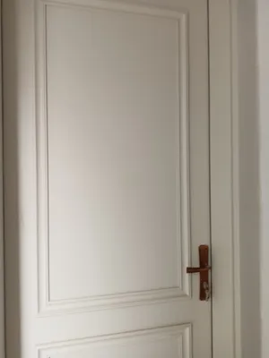 بيبان تركي