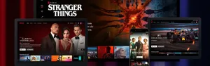 Netflix Accounts and Characters for Sale in Muscat
