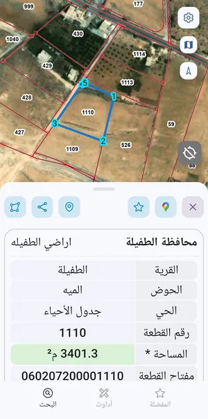 ارض مميزة في منطقة العيص/الطفيلة للبيع