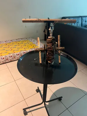 Bird stand with toys