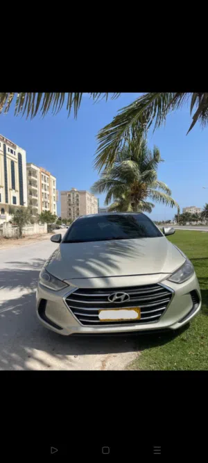 Used Hyundai Elantra in Dhofar
