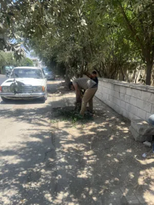 خدمة قص الشجر وتقليم الأغصان والتعشيب ونقل الطمطم والتنظيف الحدايق