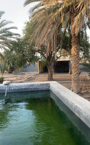 1 Bedroom Farms for Sale in Al Sharqiya Al Mudaibi