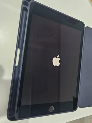 ,excellent condition ipad mini 5