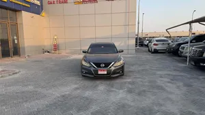 التيما 2018 وارد